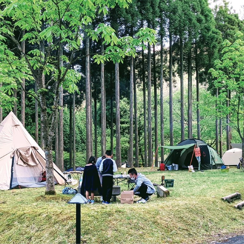 キャンプ場の宿泊予約